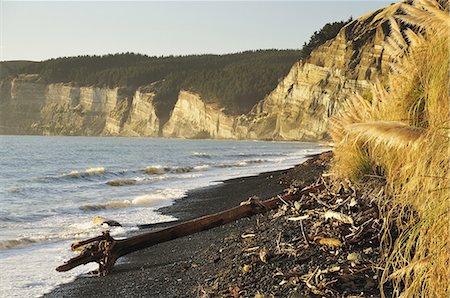 simsearch:6119-08269890,k - Cape Kidnappers, Hawke's Bay, North Island, New Zealand, Pacific Foto de stock - Royalty Free Premium, Número: 6119-08268476