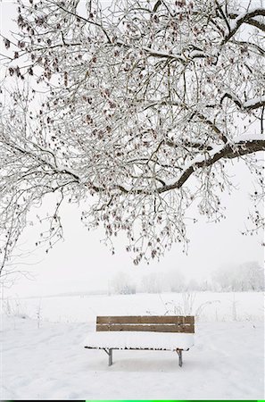 Winter landscape, near Villingen-Schwenningen, Black Forest-Baar (Schwarzwald-Baar) district, Baden-Wurttemberg, Germany, Europe Foto de stock - Sin royalties Premium, Código: 6119-08268586