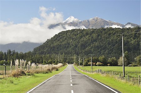 simsearch:841-03674272,k - Haast Highway, near Jacobs River, West Coast, South Island, New Zealand, Pacific Foto de stock - Royalty Free Premium, Número: 6119-08268509