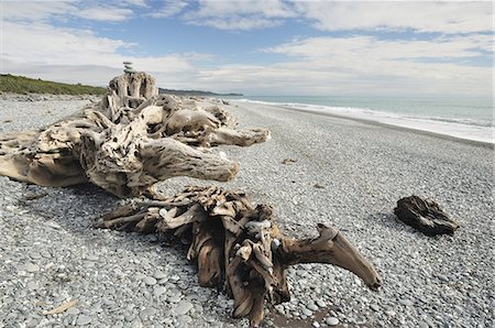 simsearch:614-03455017,k - Driftwood, Gillespies Beach, Westland Tai Poutini National Park, UNESCO World Heritage Site, West Coast, South Island, New Zealand, Pacific Foto de stock - Sin royalties Premium, Código: 6119-08268533