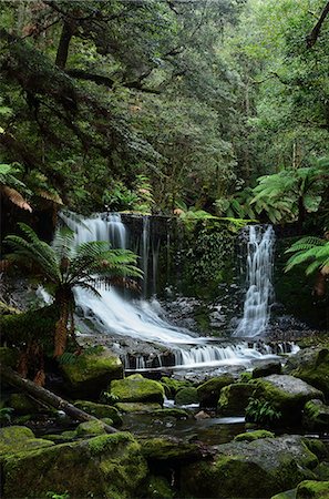 simsearch:841-05783603,k - Horseshoe Falls, Mount Field National Park, UNESCO World Heritage Site, Tasmania, Australia, Pacific Stock Photo - Premium Royalty-Free, Code: 6119-08268647