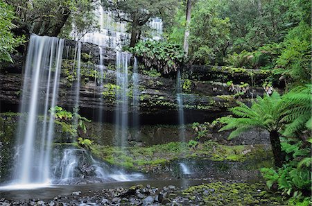simsearch:841-05783603,k - Russell Falls, Mount Field National Park, UNESCO World Heritage Site, Tasmania, Australia, Pacific Stock Photo - Premium Royalty-Free, Code: 6119-08268644