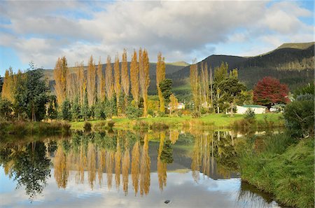 Rural scene, Maydena, Tasmania, Australia, Pacific Stock Photo - Premium Royalty-Free, Code: 6119-08268650