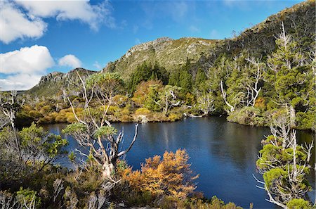 Twisted Lakes, Cradle Mountain-Lake St. Clair National Park, UNESCO World Heritage Site, Tasmania, Australia, Pacific Foto de stock - Sin royalties Premium, Código: 6119-08268626