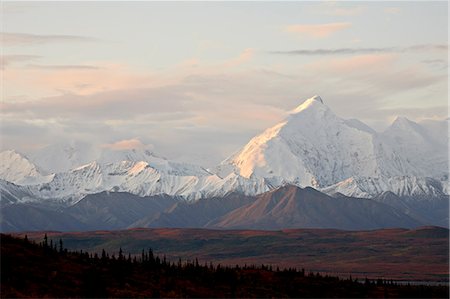 Mount Foraker in the fall, Denali National Park and Preserve, Alaska, United States of America, North America Foto de stock - Sin royalties Premium, Código: 6119-08268998