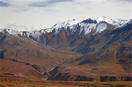 Snow-capped mountains and tundra in fall color, Denali National Park and Preserve, Alaska, United States of America, North America Stock Photo - Premium Royalty-Free, Code: 6119-08269009