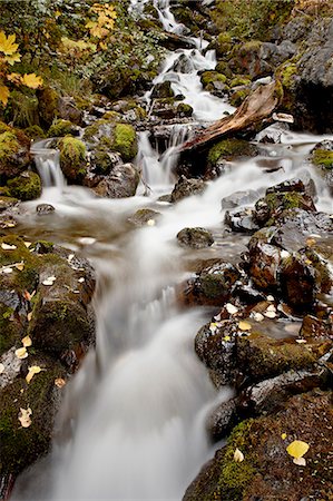 simsearch:6119-08269030,k - Cascade at Pioneer Falls, Alaska, United States of America, North America Photographie de stock - Premium Libres de Droits, Code: 6119-08269029