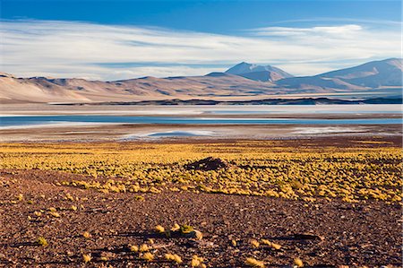 The altiplano at an altitude of over 4000m looking over the salt lake Laguna de Tuyajto, Los Flamencos National Reserve, Atacama Desert, Antofagasta Region, Norte Grande, Chile, South America Photographie de stock - Premium Libres de Droits, Code: 6119-08269344