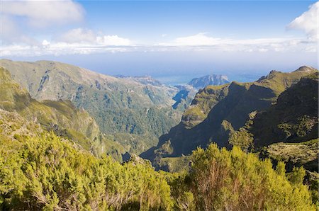 Pico de Ariero, Madeira, Portugal, Europe Photographie de stock - Premium Libres de Droits, Code: 6119-08269563