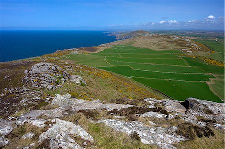 simsearch:6119-08269890,k - View north of old field system from Carn Llidi, St. Davids, Pembrokeshire National Park, Wales, United Kingdom, Europe Photographie de stock - Premium Libres de Droits, Code: 6119-08269920