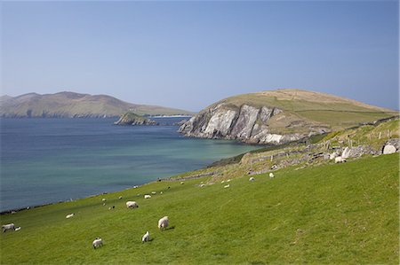 slea head - Slea Head, Dingle Peninsula, County Kerry, Munster, Republic of Ireland, Europe Photographie de stock - Premium Libres de Droits, Code: 6119-08270011