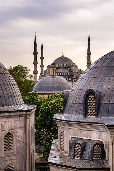 Blue Mosque (Sultan Ahmed Mosque) seen from Hagia Sophia (Aya Sofya), UNESCO World Heritage Site, Istanbul, Turkey, Europe Stock Photo - Premium Royalty-Free, Image code: 6119-08278579