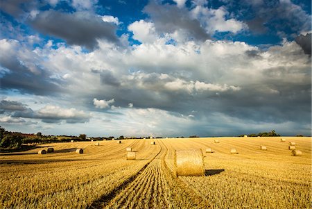 simsearch:6119-09074587,k - Baled field, Gloucestershire, England, United Kingdom, Europe Photographie de stock - Premium Libres de Droits, Code: 6119-08351248