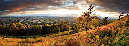 simsearch:6119-09085628,k - Malvern Hills, Malvern, Worcestershire, England, United Kingdom, Europe Foto de stock - Sin royalties Premium, Código: 6119-08351250