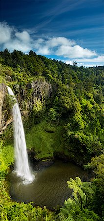 simsearch:6119-07443899,k - Bridal Veil Falls (Waireinga) near Raglan, Waikato, North Island, New Zealand, Pacific Photographie de stock - Premium Libres de Droits, Code: 6119-08351266