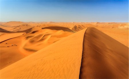 simsearch:6119-07452478,k - Sand dunes shaped by wind, Deadvlei, Sossusvlei, Namib Desert, Namib Naukluft National Park, Namibia, Africa Photographie de stock - Premium Libres de Droits, Code: 6119-08351233