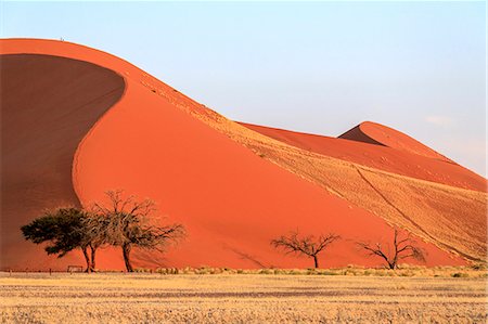 simsearch:841-07081690,k - Dune 45 the star dune composed of 5 million year old sand, Sossusvlei, Namib Desert, Namib Naukluft National Park, Namibia, Africa Foto de stock - Sin royalties Premium, Código: 6119-08351238