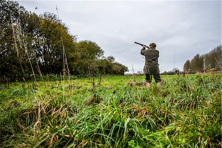 simsearch:6119-08420446,k - Gun shooting at bird on Driven pheasant shoot, Wiltshire, England, United Kingdom, Europe Stock Photo - Premium Royalty-Free, Code: 6119-08420448