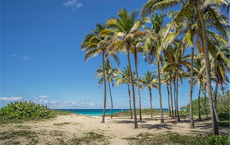 simsearch:6119-08242756,k - Playa De L'Este, Havana, Cuba, West Indies, Caribbean, Central America Foto de stock - Sin royalties Premium, Código: 6119-08420473