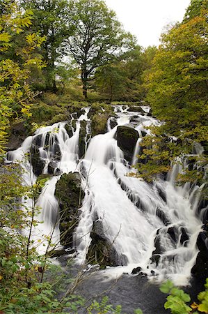 Swallow Falls in autumn, near Betwys-y-Coed, on River Llugwy, Conwy, Wales, United Kingdom, Europe Stockbilder - Premium RF Lizenzfrei, Bildnummer: 6119-08420490