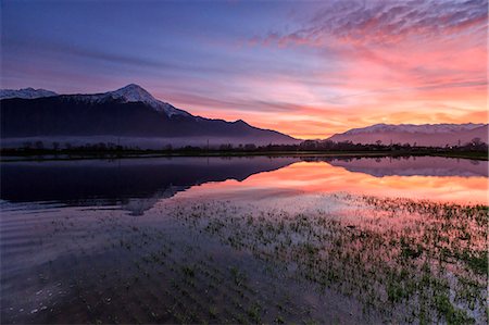 simsearch:6119-08420424,k - Natural reserve of Pian di Spagna flooded with Mount Legnone reflected in the water at sunset, Valtellina, Lombardy, Italy, Europe Stock Photo - Premium Royalty-Free, Code: 6119-08420406