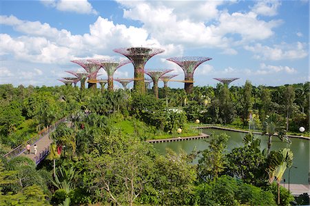 Gardens by the Bay, Singapore, Southeast Asia Foto de stock - Royalty Free Premium, Número: 6119-08542025