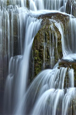 foresta nazionale gifford pinchot - Lower Lewis River Falls detail, Gifford Pinchot National Forest, Washington, United States of America, North America Fotografie stock - Premium Royalty-Free, Codice: 6119-08568414