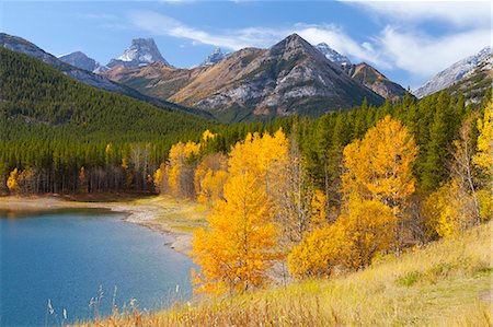 Wedge Pond in autumn, Peter Lougheed Provincial Park, Alberta, Canada, North America Photographie de stock - Premium Libres de Droits, Code: 6119-08517969