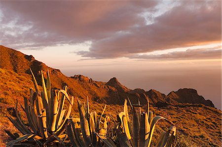 Teno Mountains at sunset, Tenerife, Canary Islands, Spain, Europe Photographie de stock - Premium Libres de Droits, Code: 6119-08517982