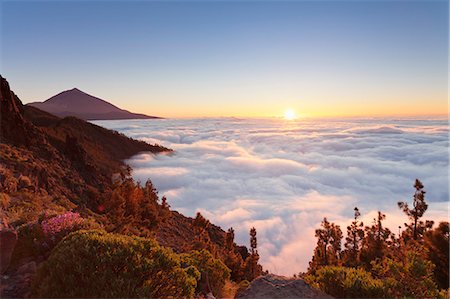 Pico del Teide at sunset, National Park Teide, UNESCO World Heritage Site, Tenerife, Canary Islands, Spain, Europe Foto de stock - Sin royalties Premium, Código: 6119-08517991