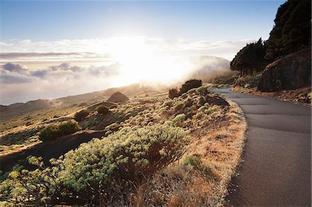 Road at the south coast at sunset, near Orchilla Volcano, UNESCO biosphere reserve, El Hierro, Canary Islands, Spai, Atlantic, Europe Stock Photo - Premium Royalty-Free, Code: 6119-08518010