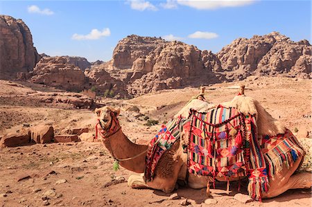 simsearch:6119-08518027,k - Portrait of seated camel with colourful rugs, view to City of Petra ruins, Petra, UNESCO World Heritage Site, Jordan, Middle East Foto de stock - Sin royalties Premium, Código: 6119-08518026