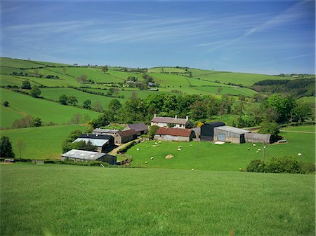 Farm near Clun, Shropshire, England, United Kingdom, Europe Stock Photo - Premium Royalty-Free, Code: 6119-08740089