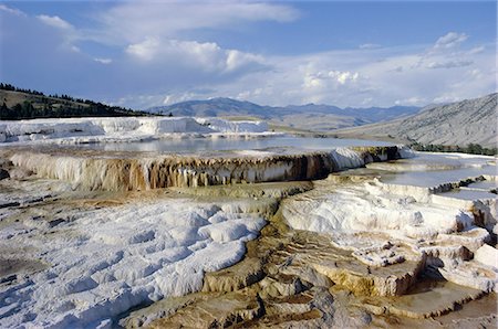 simsearch:6119-08740542,k - Minerva Terrace, Mammoth Hot Springs, Yellowstone National Park, UNESCO World Heritage Site, Wyoming, United States of America (U.S.A.), North America Foto de stock - Royalty Free Premium, Número: 6119-08740012