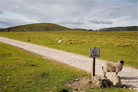 simsearch:862-03731171,k - Looking north on path near Malham Tarn, Yorkshire Dales National Park, North Yorkshire, England, United Kingdom, Europe Photographie de stock - Premium Libres de Droits, Code: 6119-08740028