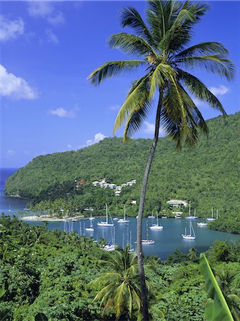 Marigot Bay, St. Lucia, Windward Islands, Caribbean, West Indies, Central America Stock Photo - Premium Royalty-Free, Code: 6119-08740103