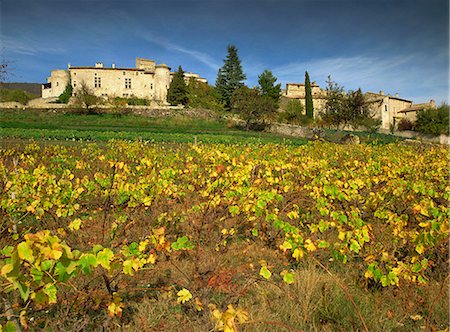drome - Vines in front of the village of Le Poet Laval, Drome, Rhone-Alpes, France, Europe Stock Photo - Premium Royalty-Free, Code: 6119-08740260