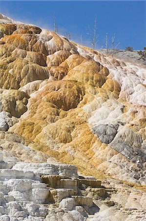 simsearch:6119-08740542,k - Palette Spring Terrace, Mammoth Hot Springs, Yellowstone National Park, UNESCO World Heritage Site, Wyoming, United States of America, North America Foto de stock - Royalty Free Premium, Número: 6119-08740293