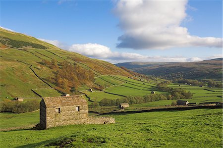 simsearch:6119-07453170,k - Stone barns in Swaledale, near Keld, Yorkshire Dales National Park, Yorkshire, England, United Kingdom, Europe Stock Photo - Premium Royalty-Free, Code: 6119-08740291