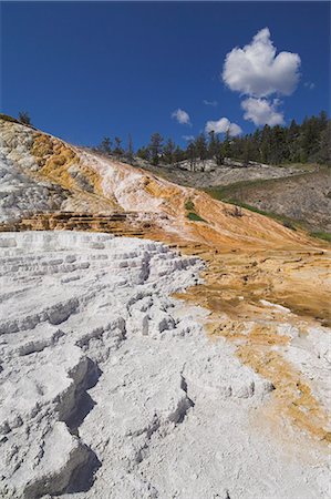 simsearch:6113-06625511,k - Palette Spring Terrace, Mammoth Hot Springs, Yellowstone National Park, UNESCO World Heritage Site, Wyoming, United States of America, North America Fotografie stock - Premium Royalty-Free, Codice: 6119-08740294