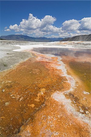 simsearch:6119-08740542,k - Canary Spring, Mammoth Hot Springs, Yellowstone National Park, UNESCO World Heritage Site, Wyoming, United States of America, North America Foto de stock - Royalty Free Premium, Número: 6119-08740295