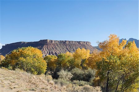 Landscape near Zion National Park, Utah, United States of America, North America Stock Photo - Premium Royalty-Free, Code: 6119-08740215