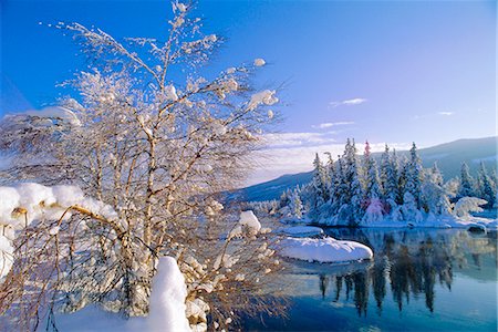 Frozen river near Evje, Norway Stock Photo - Premium Royalty-Free, Code: 6119-08740378
