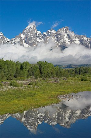 snake river - The Cathedral Group of Mount Teewinot, Mount Owen and Grand Teton from the Snake River at Schwabacher's Landing, Grand Teton National Park, Wyoming, United States of America, North America Stockbilder - Premium RF Lizenzfrei, Bildnummer: 6119-08740313