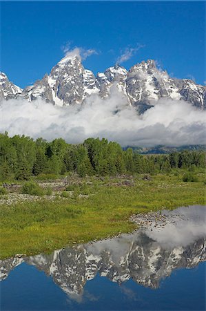 simsearch:862-08091561,k - The Cathedral Group of Mount Teewinot, Mount Owen and Grand Teton from the Snake River at Schwabacher's Landing, Grand Teton National Park, Wyoming, United States of America, North America Stock Photo - Premium Royalty-Free, Code: 6119-08740313