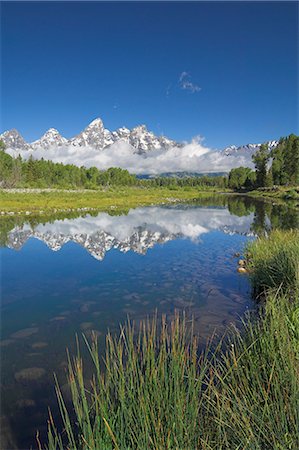 simsearch:6119-08741455,k - The Cathedral Group of Mount Teewinot, Mount Owen and Grand Teton reflected in the Snake River, Schwabacher's Landing, Grand Teton National Park, Wyoming, United States of America, North America Foto de stock - Royalty Free Premium, Número: 6119-08740316