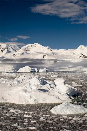 simsearch:6119-08740459,k - Gerlache Strait, Antarctic Peninsula, Antarctica, Polar Regions Foto de stock - Sin royalties Premium, Código: 6119-08740487