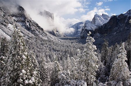 simsearch:6119-08739906,k - Fresh snow fall on El Capitan in Yosemite Valley, Yosemite National Park, UNESCO World Heritage Site, California, United States of America, North America Foto de stock - Sin royalties Premium, Código: 6119-08740407