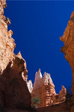 simsearch:6119-08741575,k - Colourful pinnacles and hoodoos on the Peekaboo Trail in Bryce Canyon National Pak, Utah, United States of America, North America Photographie de stock - Premium Libres de Droits, Code: 6119-08740433