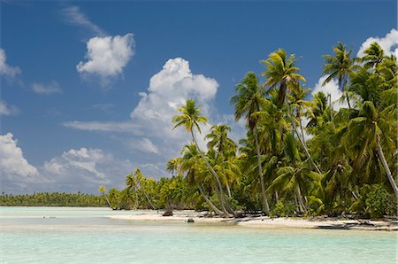 rangiroa atoll - Blue Lagoon, Rangiroa, Tuamotu Archipelago, French Polynesia, Pacific Islands, Pacific Photographie de stock - Premium Libres de Droits, Code: 6119-08740511